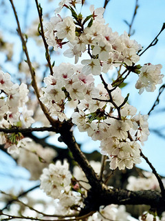 Image_20250331_095054_051_加工済.jpg